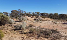  Bonnie Vale is a historic mining centre.