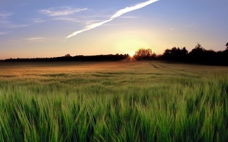 Waitrose partners with National Geographic for regenerative farming series