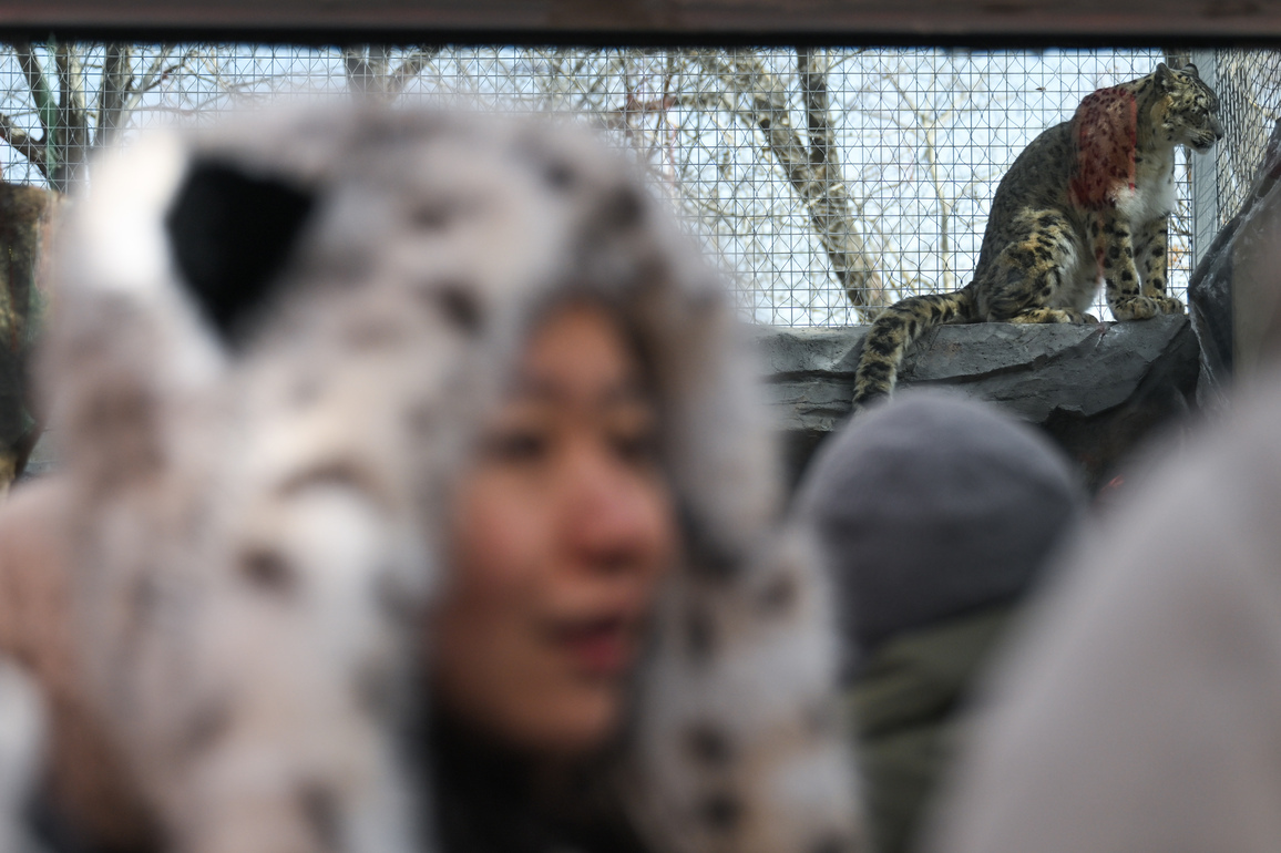 CHINA-QINGHAI-XINING WILDLIFE PARK-SPRING FESTIVAL HOLIDAY (CN)
