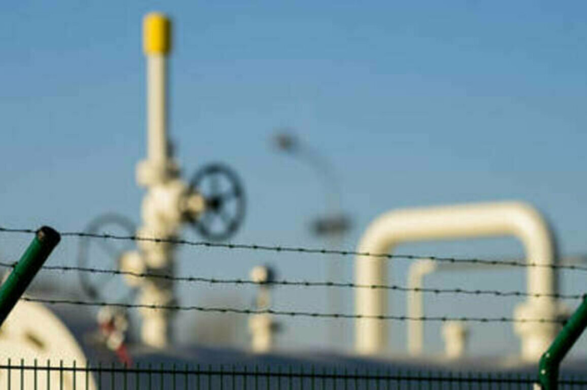 EU member calls for review of ban on Russian gas - FT