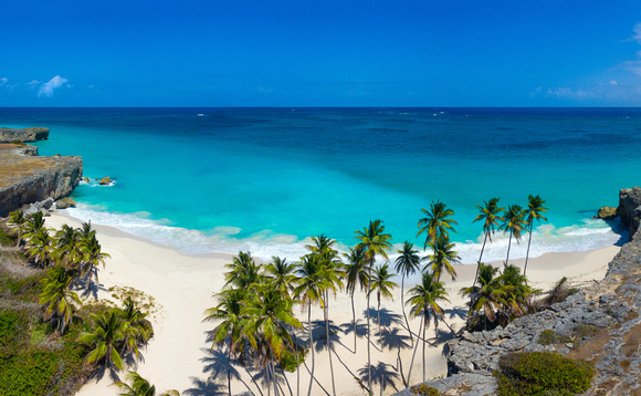 Harlequin boss guilty of Caribbean pyramid scheme after investors lose £400m