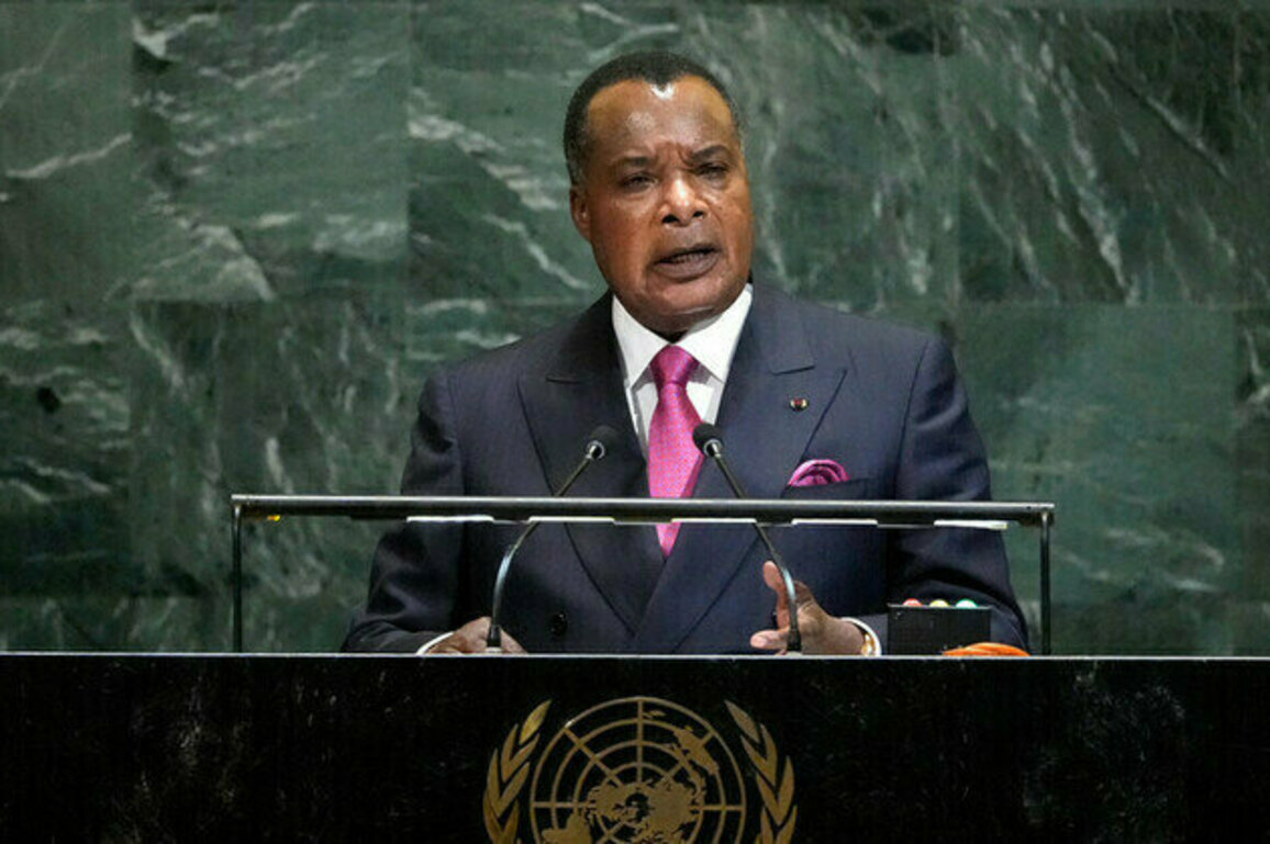 African state calls for urgent reform of UN Security Council