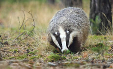 NFU denies hackers have accessed cull website and changed key records