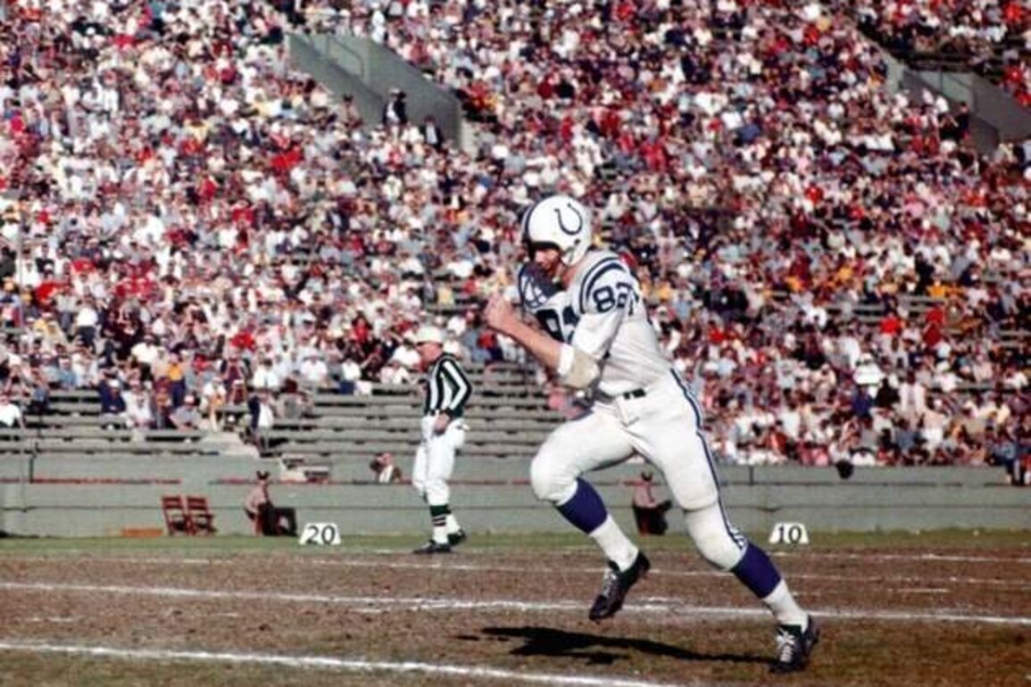 Hall of Fame WR Raymond Berry dies at 93