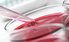 GED acquires Vitro Group