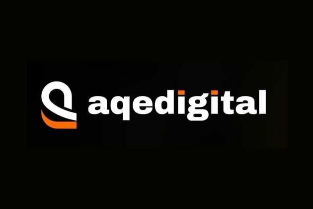 ACE Software Posts Earnings Turnaround; Standalone Profit Before Tax Up 43% YoY