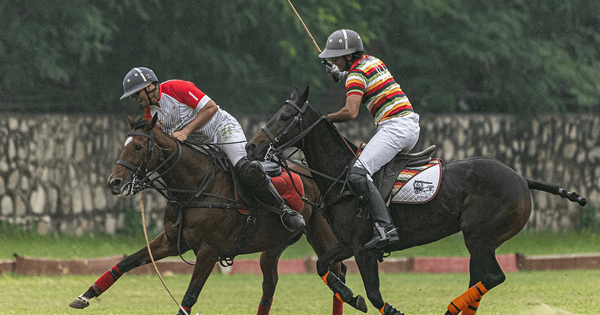 The Africa News - Other - News Image