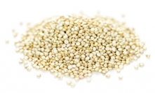 Health foodies' wishes answered with Northern quinoa crop