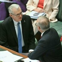 View from The Hill: Albanese government resorts to whatever-it-takes to rid Australia of former detainees
