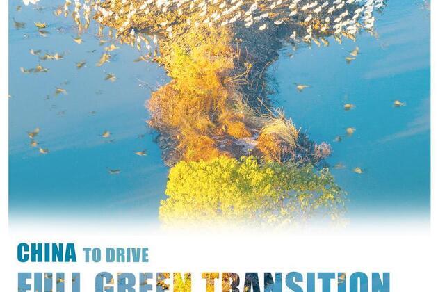 InPics | China to drive full green transition and build a Beautiful China during 15th Five-Year Plan period
