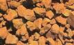 Iron ore find boosts minnow