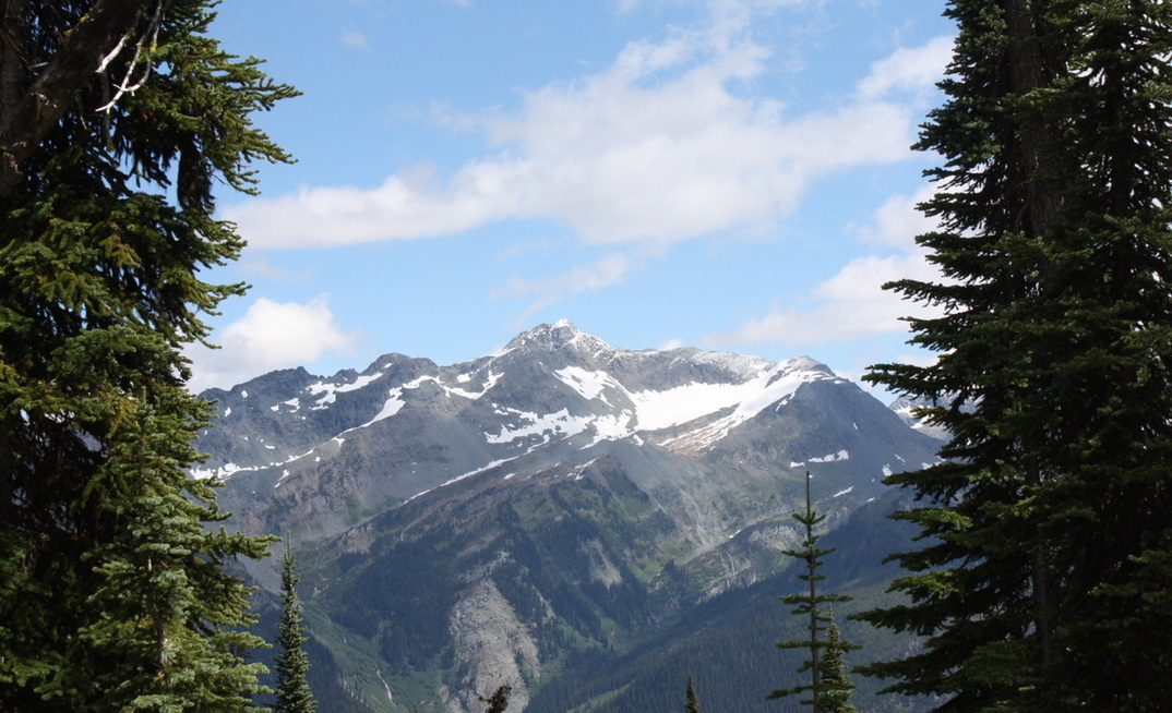 Mt. Jowett, east of Trout Lake
