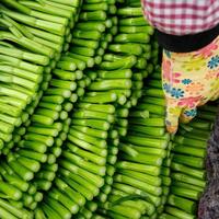 China's fresh produce finds favor in Central Asian market
