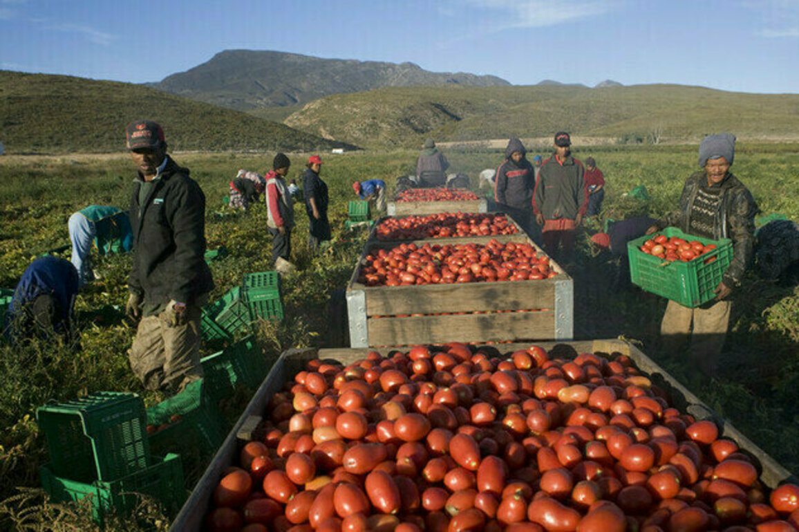 South Africa sets exports record
