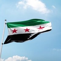 Opinion The Neo-Ottoman Conquest of Damascus: One Year Later