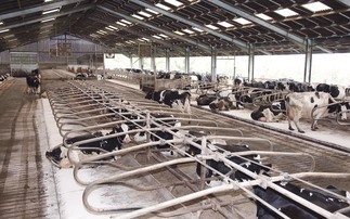 How one dairy farm in North Yorkshire tackled mastitis with more space  