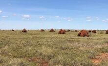  Plenty of blue sky in the Tanami.