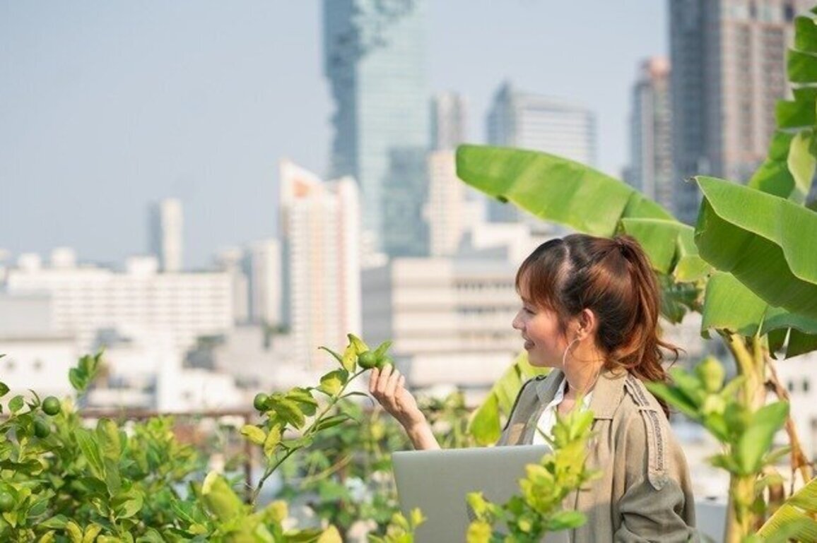 Solar-powered rooftop gardens a boon to warming MA cities   