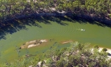 Algal bloom hurts farmers in Victoria