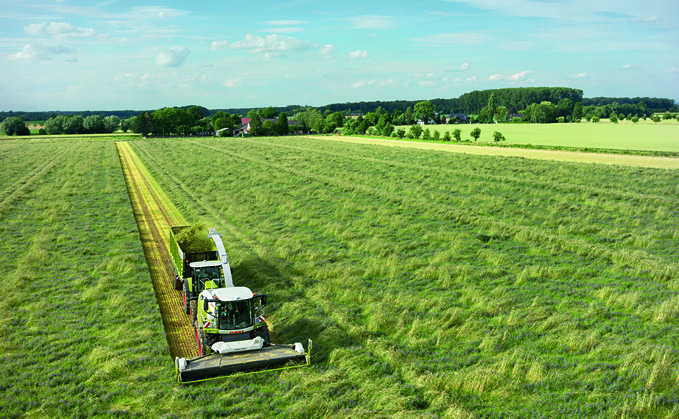 Using wholecrop as an 'insurance policy' for dairy rations