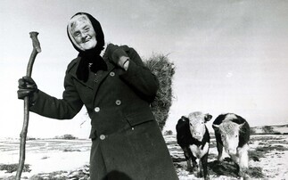 Women's History Month: Hannah Hauxwell, 'Daughter of the Dales' – a one woman farming force