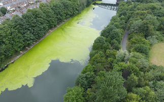 Study: UK falling far short of '30 x 30' nature protection goal