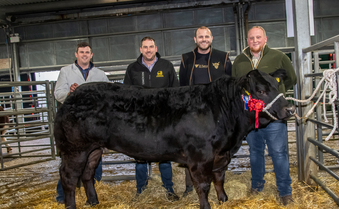  A round up Christmas sale reports from around the marts this week