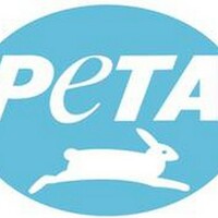 PETA India urges Maha govt to ban aggressive foreign dog breeds after a recent pit bull attack on minor in Mumbai