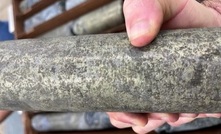  Part of the high-grade massive sulphide from Talon Metals’ drilling at CGO West at its Tamarack JV in Minnesota
