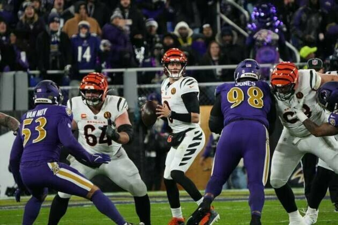 Joe Burrow makes successful return as Bengals end Ravens' win streak