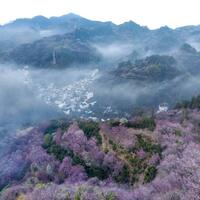 Silver economy boosts cultural, elderly tourism development