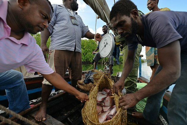 How COVID affected markets and livelihoods in Kenya&#039;s fisheries sector