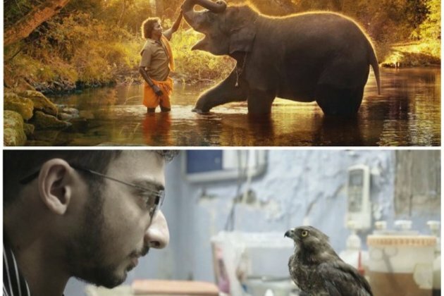 Indian documentaries 'All That Breathes' and 'The Elephant Whisperers' makes it to Oscar nominations
