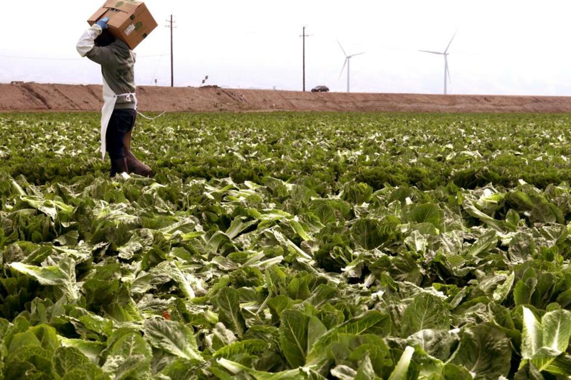 Trump administration reverses USDA office closures in California