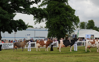 ROYAL HIGHLAND SHOW: Experienced cow man takes on dairy inter-breed judging 