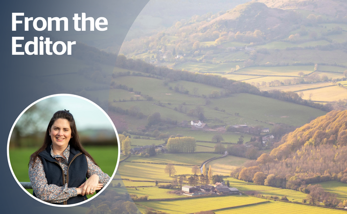 From the editor: A bovine TB roadmap that must deliver for farmers