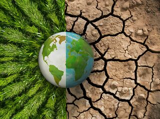 Corporate reporting on physical climate risks 'limited' and 'inadequate'