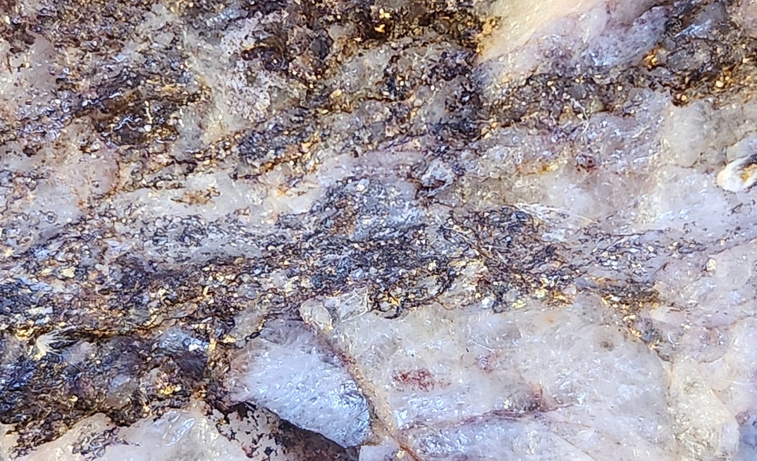 Visible gold from Mt Malcolm Mines’ flagship Malcolm project in the Goldfields