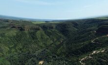 FS out on Cerrado Gold's Monte do Carmo in Tocantins, Brazil