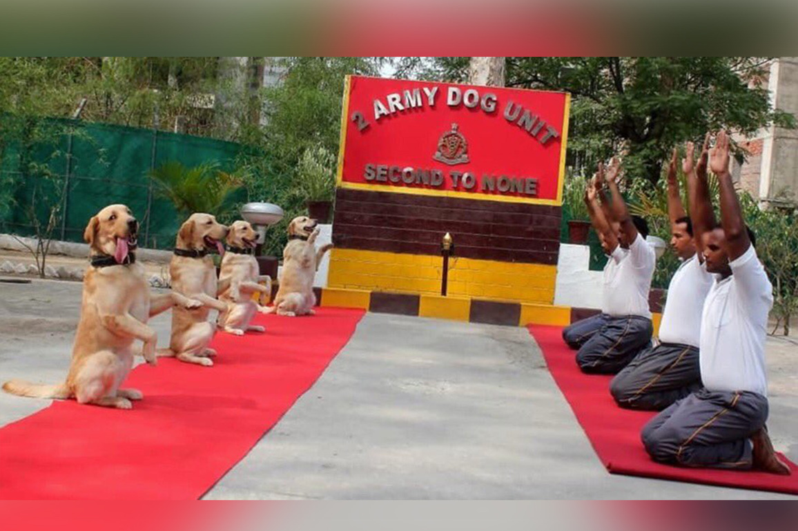Delhi Police unveils official emblem of elite canine squad