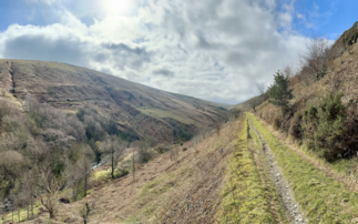 Isle of Man: The Wildlife Trusts take on largest rainforest restoration project to date