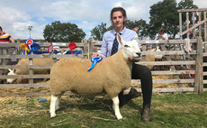 Young farmer focus: Annie Stones - 'I meet new people every day and see a variety of farms'