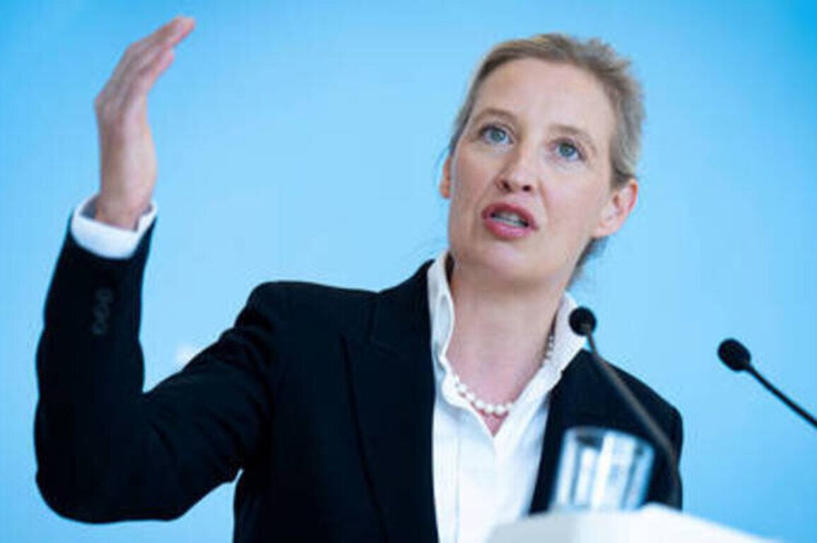 Ukraine must compensate Germany for blowing up Nord Stream - AfD co-leader