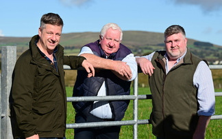 Genetics key to success for North Ireland pedigree beef herd