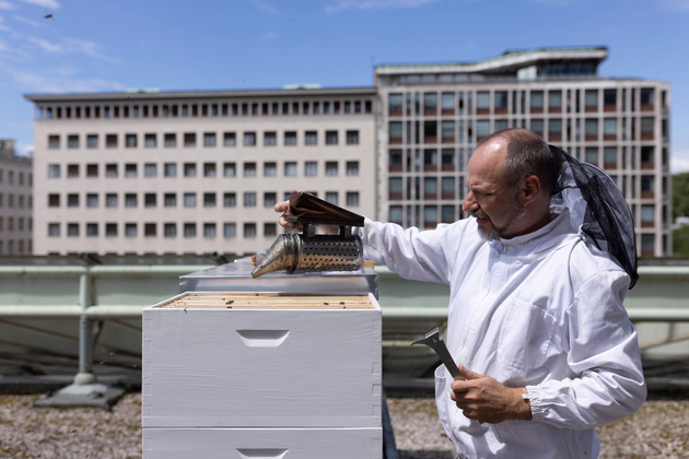 SLOVENIA-LJUBLJANA-URBAN ROOFTOP BEEKEEPER