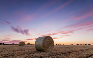 Do you have clients that are farmers? 43% are on the hunt for advice