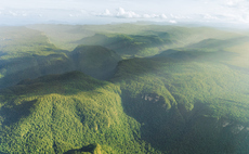 WWF warns areas of the Amazon could be at tipping point as climate extremes accelerate