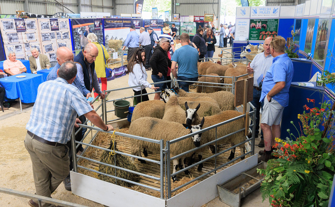 More than 250 trade and breed society stands will be at the Three Counties Showground for this year's NSA Sheep event.