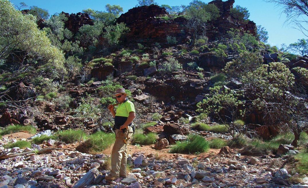 Welborn's Fenix cosies up to Athena's magnetite