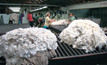 Will positive economic growth improve retail wool sales?